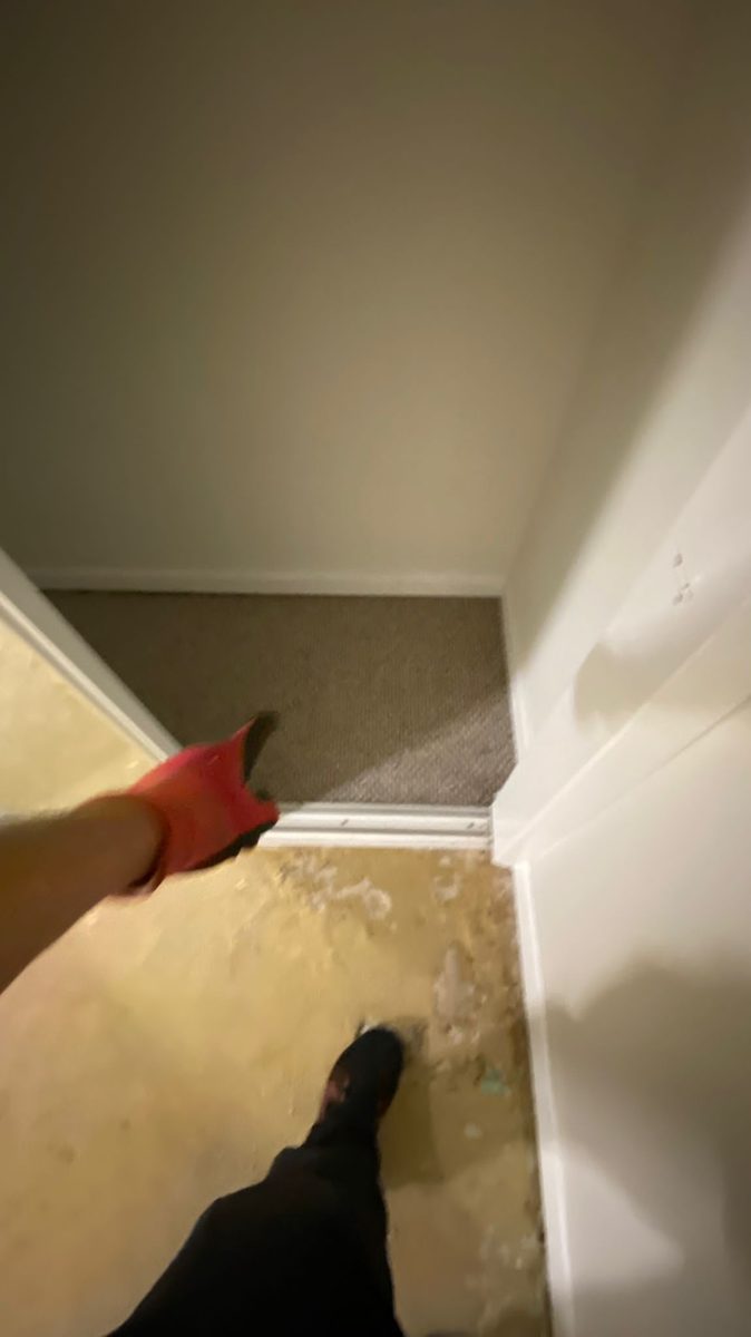 Carpet removal — example photo