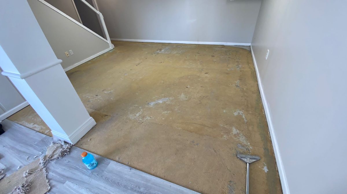 Carpet removal — example photo