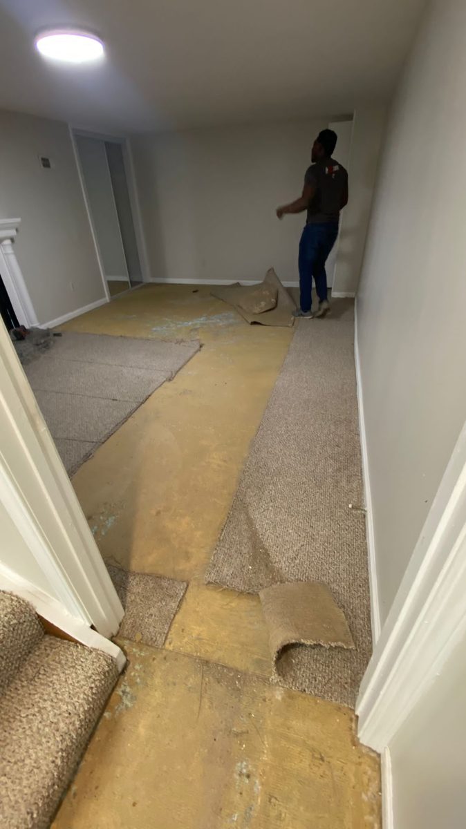 Carpet removal — example photo