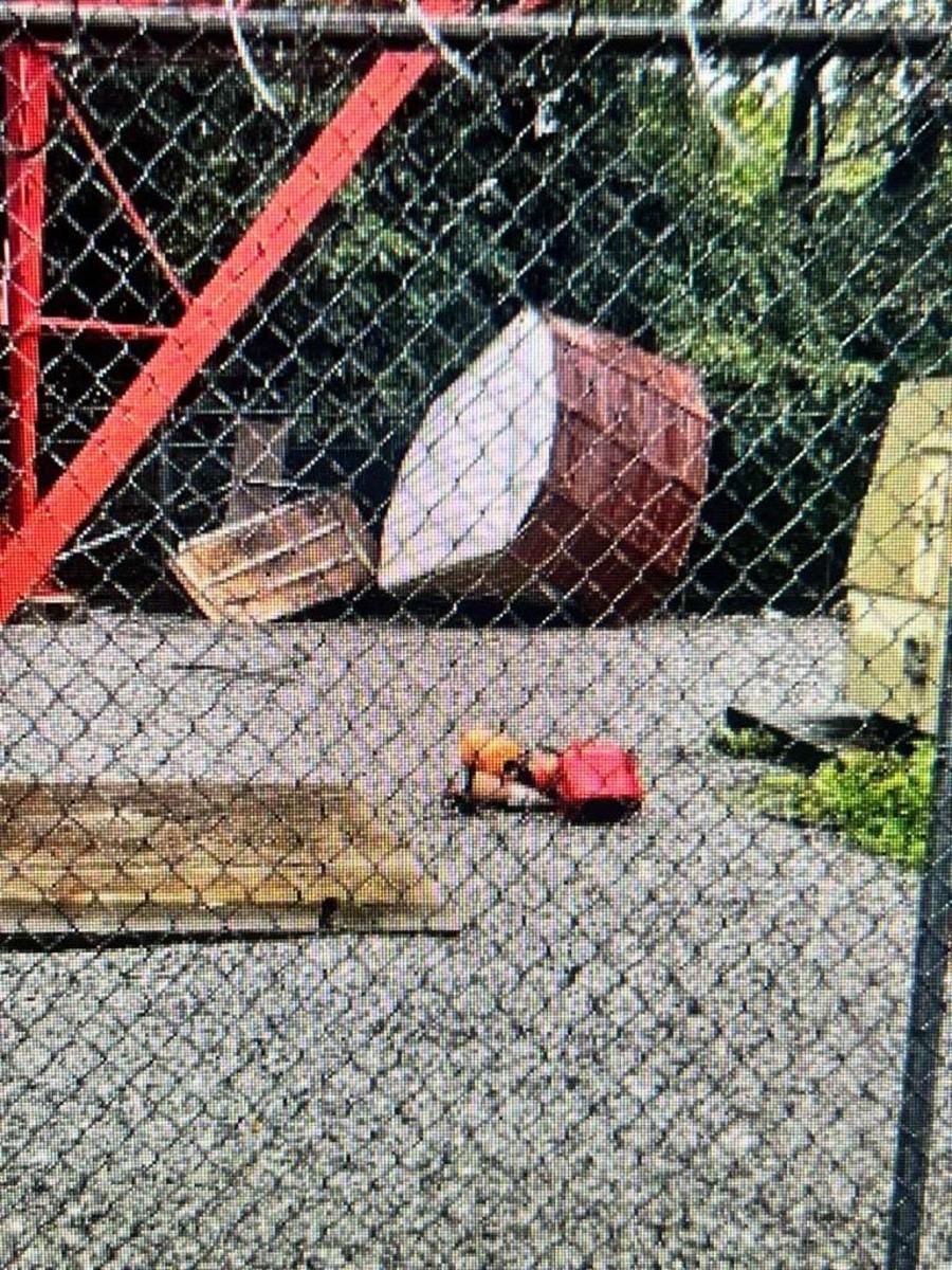 Broken pallets, shed and yard debris before site cleanup
