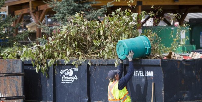 Junk Removal — example photo